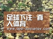 种植基地七