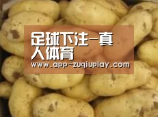 产品展示标题6